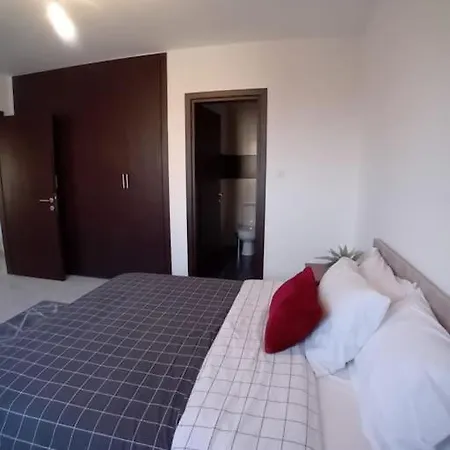 公寓 Spacious With Pool 拉纳卡